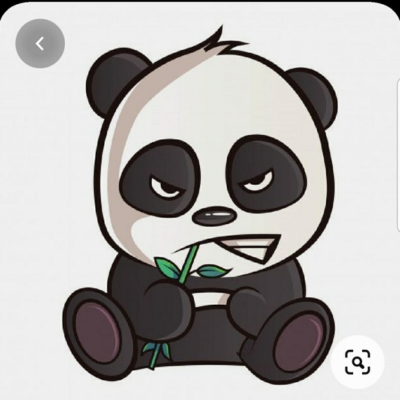 Meet your Posher, Jason - Picture 2 of 2